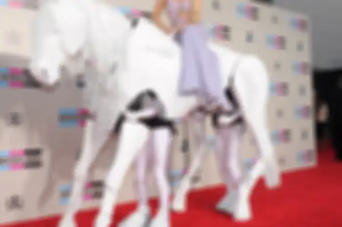 AMAs 2013 Red Carpet Style