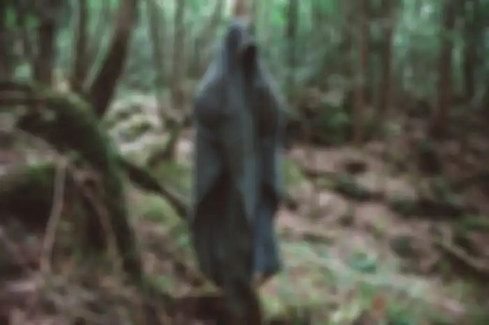 Hutan Aokigahara