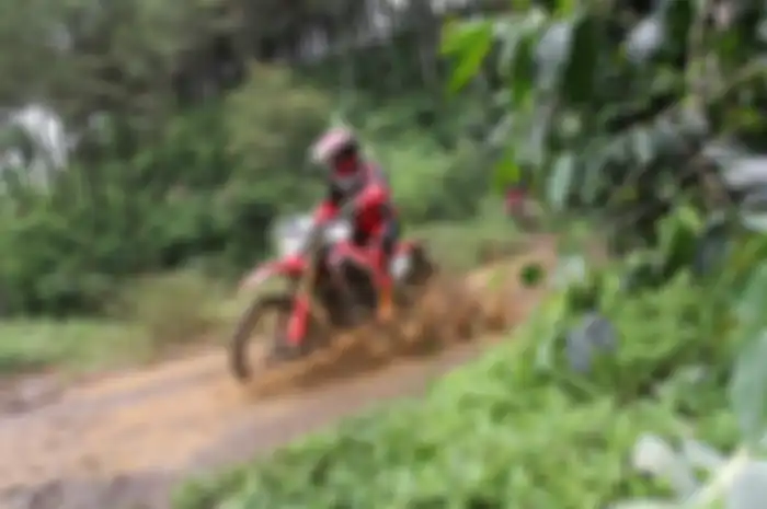 Ilustrasi pengendara motor trail saat terabas hutan, berapa batas aman motor trail untuk melibas banjir?