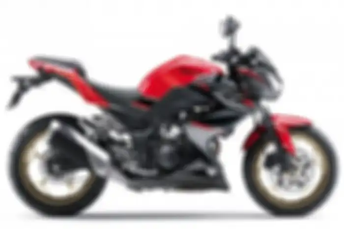 Kawasaki Z250