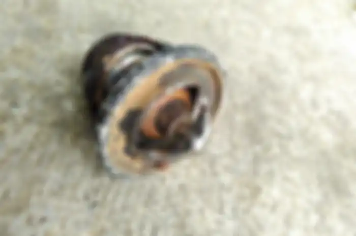thermostat