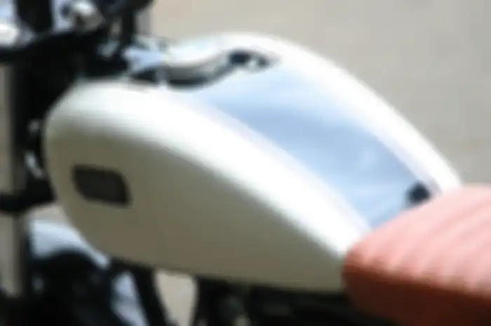 Yamaha Scorpio Scrambler Protechnic