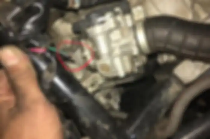 Kabel yang sobek atau putus akibat gigitan tikus merusak sistem kelistrikan. Motor yang Jarang Dipakai Bisa Jadi Sarang Tikus, Begini Cara Mencegahnya