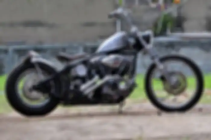 Harley Davidson model frisco style from Texas milik Adam Goentina sang pemilik, ogah dengan warna solid makanya dibiarkan dengan model karat.  