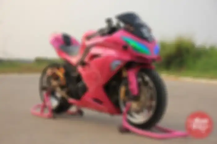 Kawasaki Ninja 250R 2013 Hello Kitty Hobby Cornering 