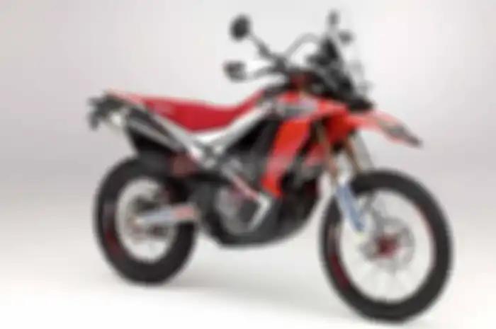 Setelah bulan Maret mengeluarkan Honda PCX eSP, Honda bakal menyambung di segmen khusus trail. PT Astra Honda Motor (AHM) akan  mengeluarkan Honda CRF 250 Rally. Kabarnya Honda CRF 250 Rally akan dilaunching April atau Mei, tapi sudah buka inden
