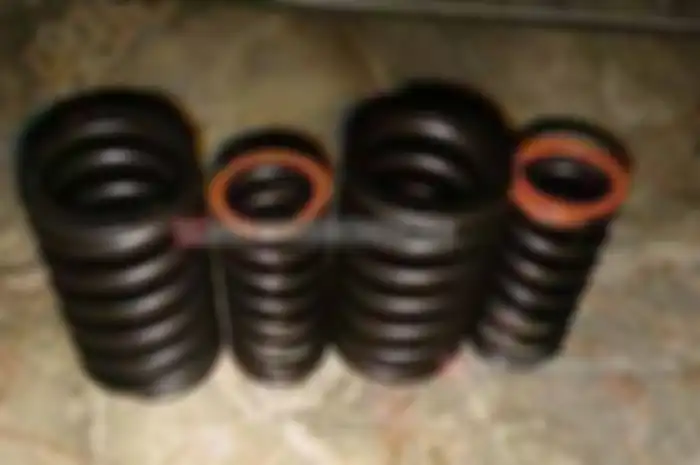 Sobat pengguna Kawasaki KLX 150, ada pilihan per klep racing terbaru dari V Best. Kelebihannya, per klep racing ini diklaim tahan hingga 19.000 rpm. Total ada 4 per yang digunakan yang terdiri dari 2 per Outer dan 2 per Inner.