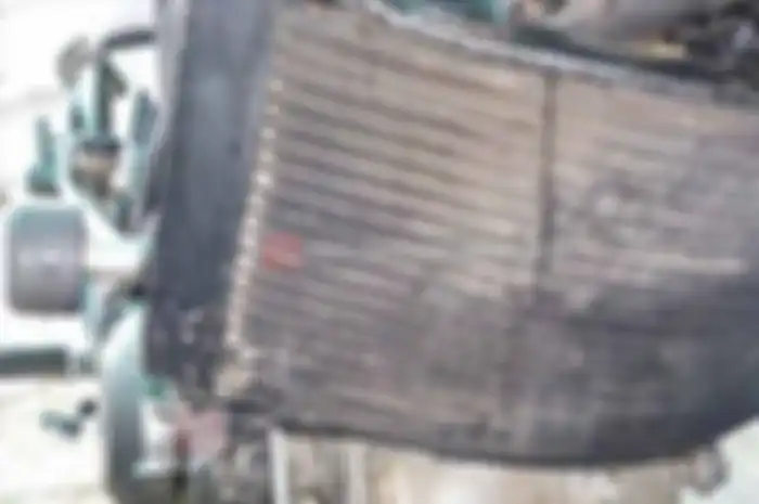 Peranti ini kecil, namun vital. Tutup radiator berfungsi menjaga tekanan agar tetap pada tekanan yang diinginkan.