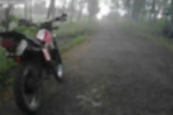 Bagi saya, misteri selalu bikin penasaran.  Inilah journey masuk misteri hutan Blora, Ngawi, Jawa Timur. Banyak yang bilang hutan ini punya magis dan sangat misterius. Ditemani Suzuki TS 125 yang terkenal tangguh saya pede menembus hutan sejauh 40 km