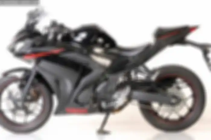 PT Yamaha Indonesia Motor Manufacturing memanjakan kepuasan konsumennya. Untuk rider YZF-R25, Yamaha memberikan pelayanan spesial, seperti ruang servis dan ruang tunggu ekslusif dengan sebutan “R Pit”. Layaknya motor tunggangan Valentino Rossi dan Jo