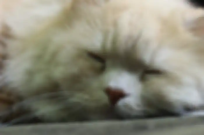 Susah tidur