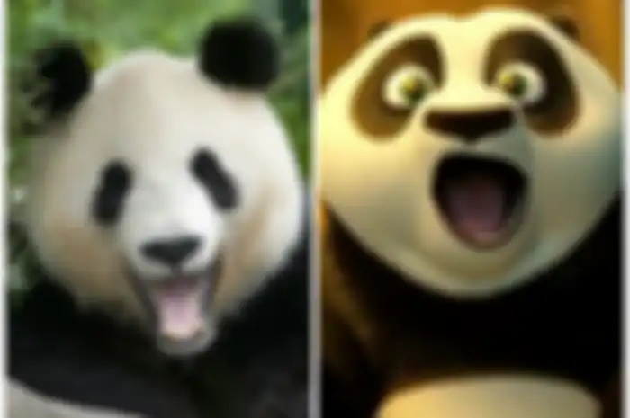 Po – (Kungfu Panda)