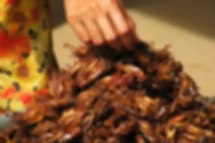 Kuliner ekstrim di belahan dunia