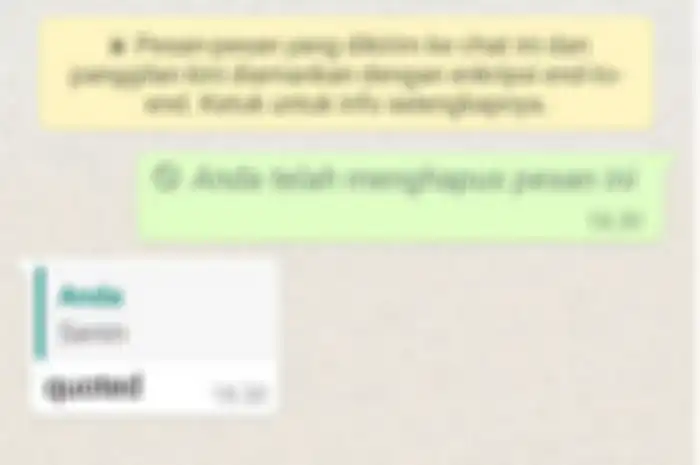 Ketika chat whatsapp dihapus, akan terlihat tandanya