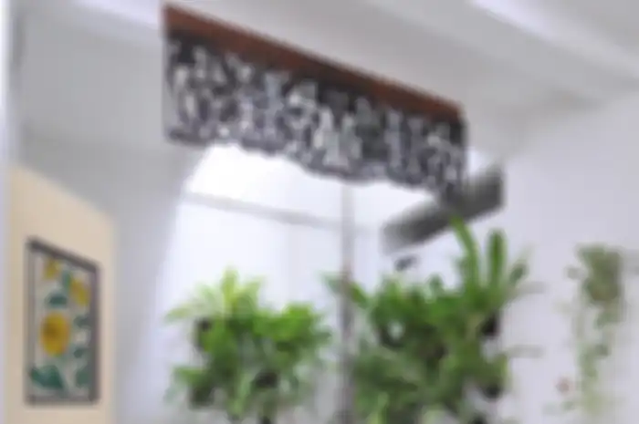 Sensasi Segar Tanaman Tempel
