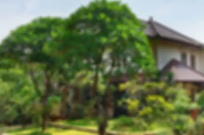 6 Hal Penataan Taman Menurut Fengshui