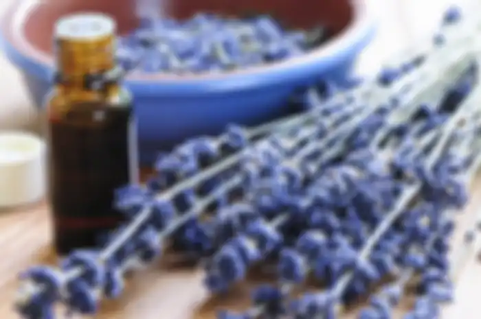 Herbal Pereda Stres