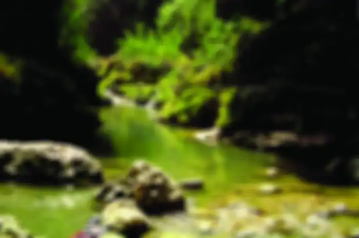 Menyusuri gua dan sungai menjadi pilihan wisata alternatif. 