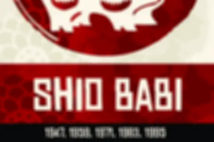 Bagaimana Nasib Shio Babi di Tahun 2017