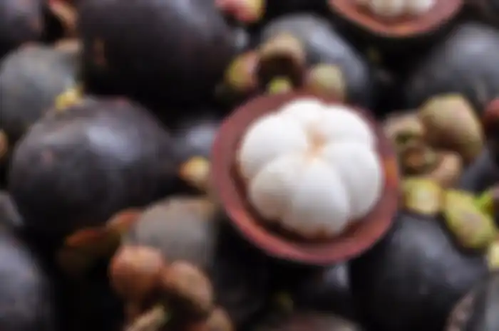 Buah Manggis