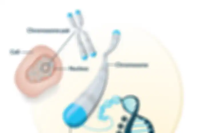 Telomere 