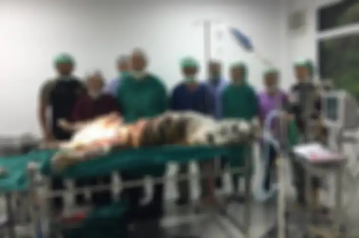 Or Nai, seekor harimau betina berusia 20 tahun ini menderita tumor payudara yang telah berubah menjadi kanker.