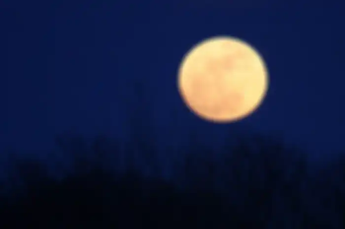 Bulan ternyata menyimpan banyak misteri. Beragam mitos dan teori dimunculkan untuk menjawab misteri-misteri itu, termasuk teori-teori yang tidak lazim.