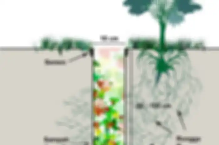 Cegah Banjir dan Kekeringan dengan Biopori