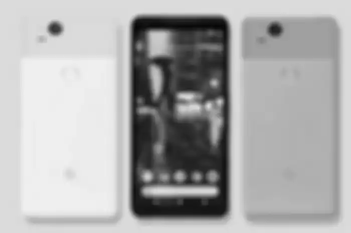 Google Pixel 3 Versi Murah Bakal Usung Nama Spesies Ikan, Apa Nih?