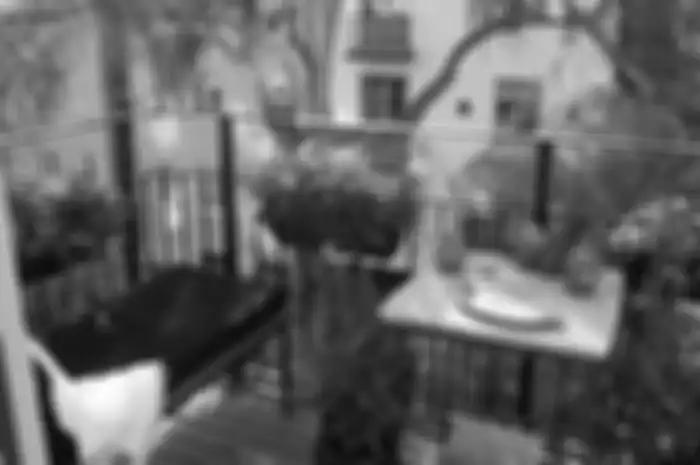 Buat taman di area balkon