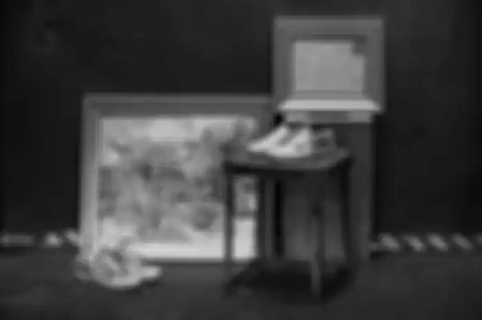 Ketika Vans Edisi Van Gogh Difoto Bareng Lukisan Vincent Van Gogh