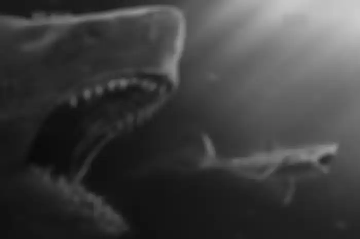 The Meg
