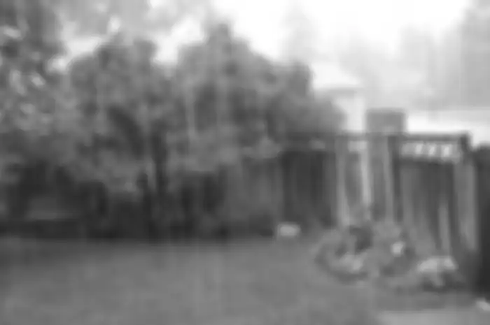Musim Hujan