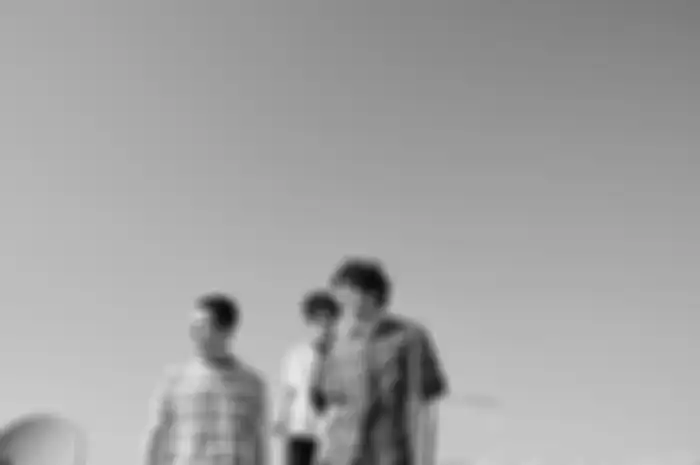 Wallows
