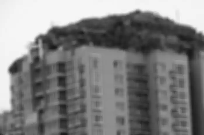 Warga Tiongkok bangun gunung di atas apartemen