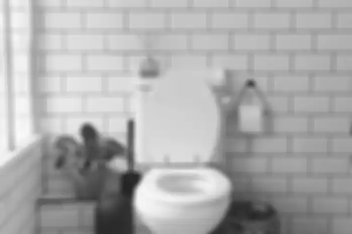 Mulai dari Rp 8,000an, Ini 4 Rekomendasi Pewangi Kamar Mandi yang Bikin Bau Pesing dan Bau Tak Sedap Lainnya Hilang!