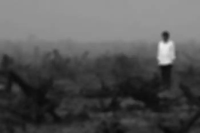 Presiden Joko Widodo berada di tengah area hutan gambut yang rusak dan hangus saat melakukan inspeksi kebakaran hutan di Banjarbaru, Kalimantan Selatan.
