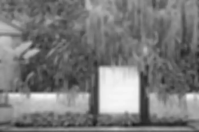 Taman vertikal yang memadukan jenis tanaman perdu rendah dan tanaman rambat. 