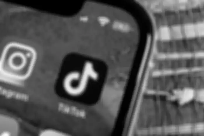 Ilustrasi TikTok