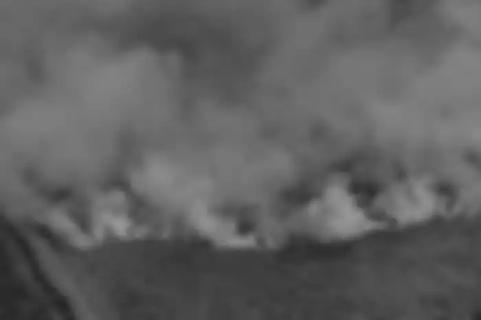 Kebakaran hutan di Kalimantan