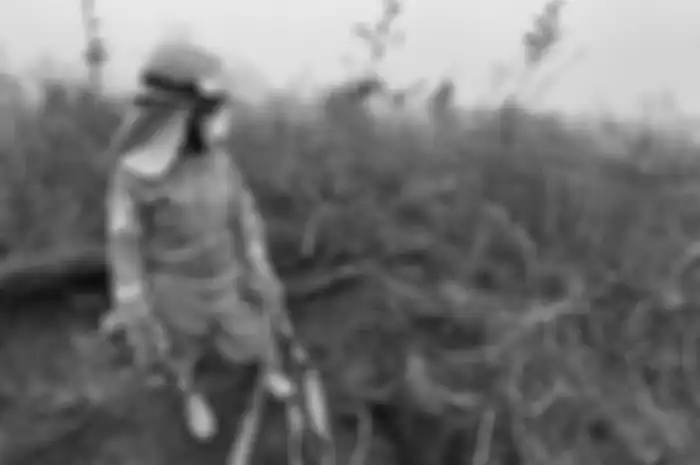 Sola Gratia Sihaloho (22) juga tak habis pikir dengan kebakaran hutan dan lahan yang terus menerus terjadi. 