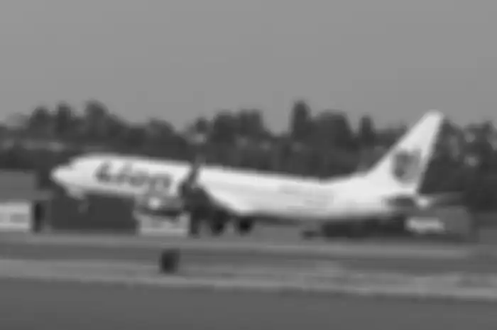 Ilustrasi Lion Air