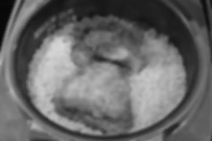 Nasi yang dimasak dengan KFC
