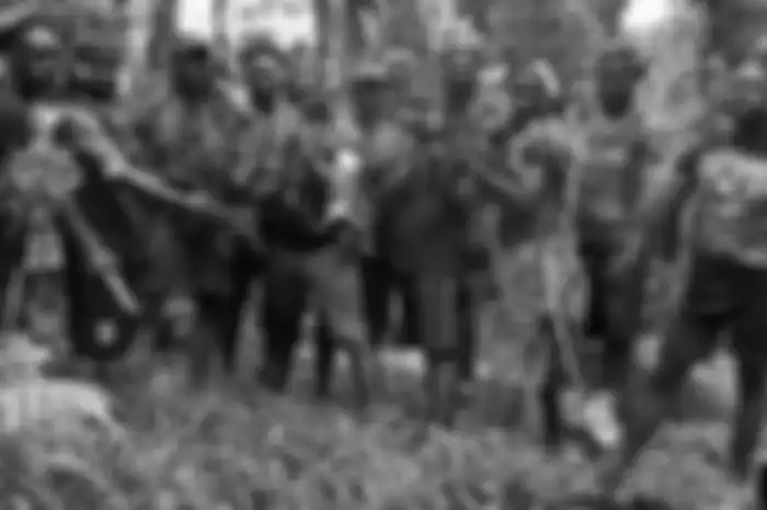 KKB di Papua