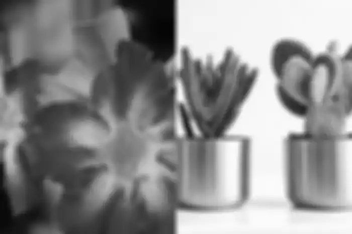 Selain indah untuk dijadikan tanaman hias, ternyata adenium dijadikan sebagai racun untuk mengisi anak panah di Afrika sejak dulu.