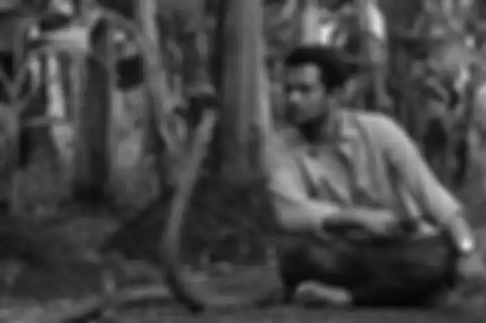 Panji Petualang