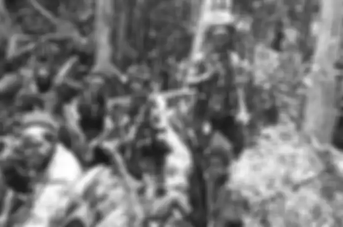KKB Papua