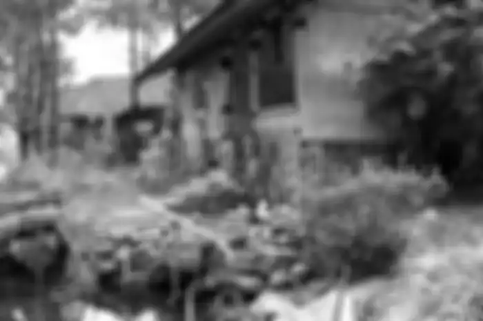 Hijaulan lingkungan rumah untuk selamatkan bumi.
