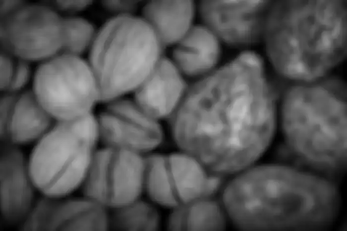 Buah pala.