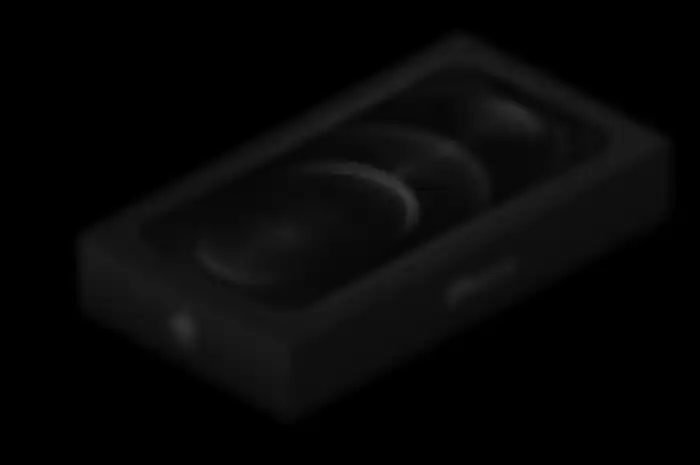 Box iPhone 12 Pro